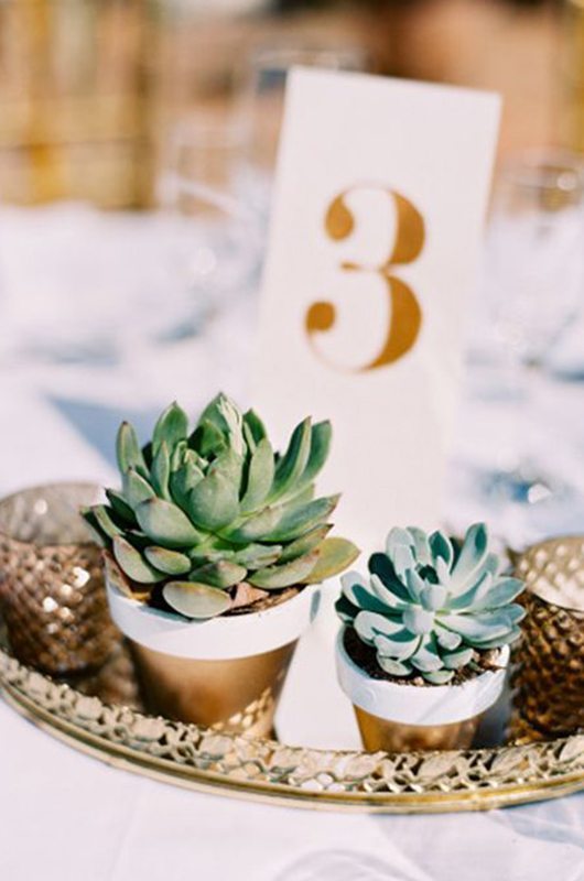 Our 5 Ideas for Perfect Centerpieces
