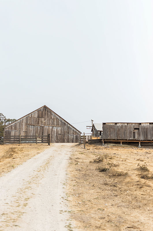 Sonoma County, California