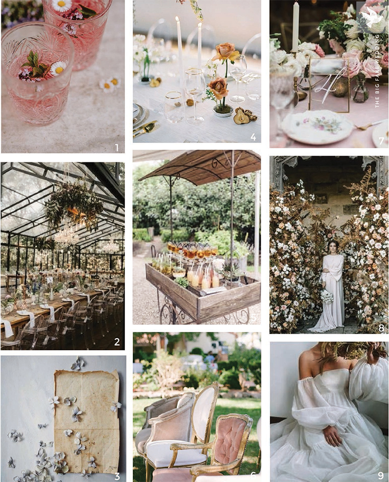 The Big Fake Wedding Jacksonville Fl B The Big Fake Wedding Jacksonville Fl B