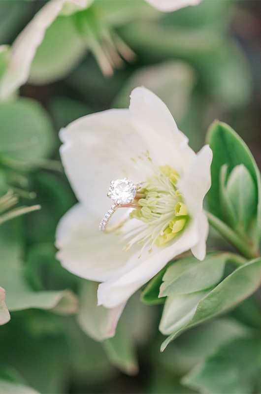 Kristin And Hunters Romantic Cherry Blossom Engagement Cherry Blossom Copy