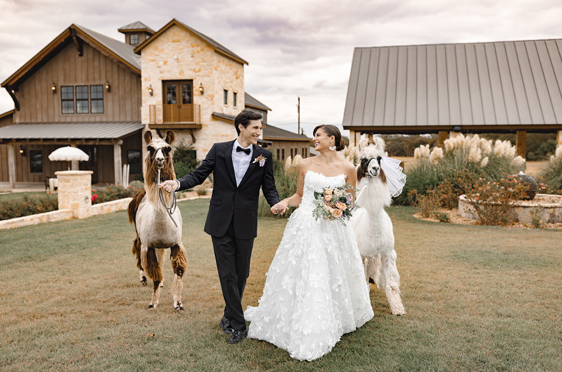 La Bonne Vie Ranch Trendsetter Award Fredericksburng TX couple walking with llamas La Bonne Vie Ranch Trendsetter Award Fredericksburng TX couple walking with llamas