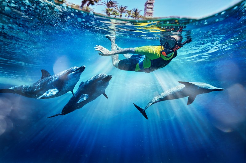 Dubai Bachelorette destination atlasvillage dolphinswim adultsnorkeling Dubai Bachelorette destination atlasvillage dolphinswim adultsnorkeling