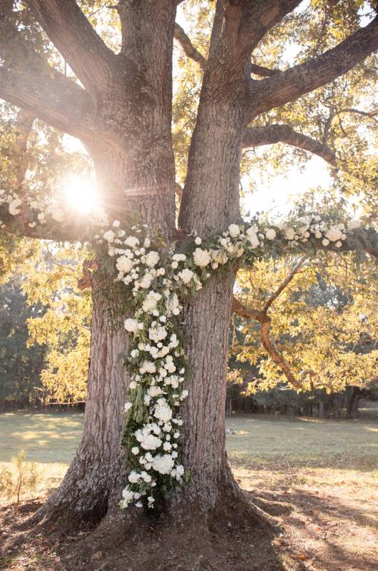 The Hicks Wedding tree