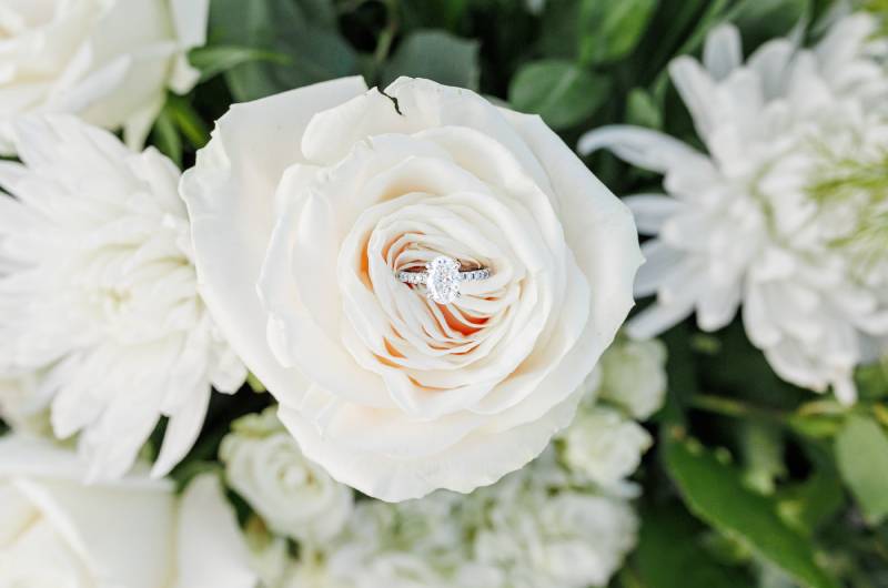 Abby Henry and Jacob Melton Engagement ring ina a rose Abby Henry and Jacob Melton Engagement ring ina a rose