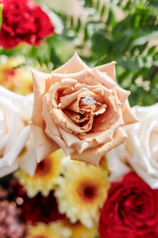 Carolina Love Story Amanda Burns and David Greder's Charlotte NC Engagement roses