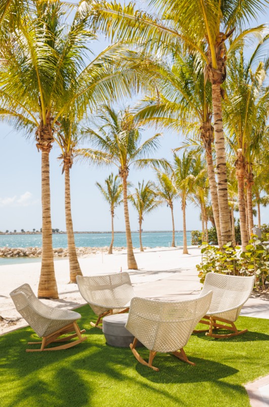 JW Marriott Clearwater Beach palm trees