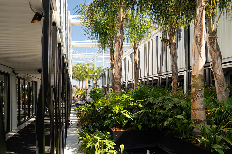 BalHarbourPopUp CLW 514 bal-harbour-meets-the-blue-ridge-a-bachelorette-brunch-dream-in-asheville-shop
