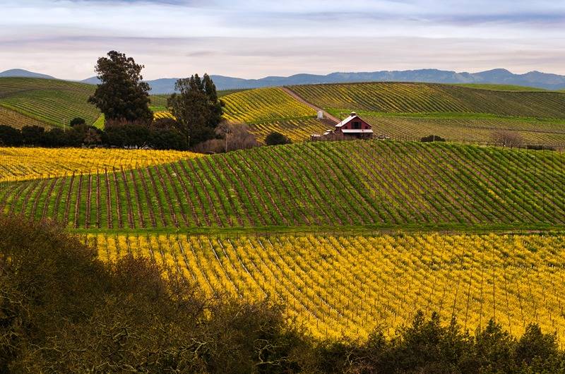 a romantic escape to napa valley Fall Vineyards Napa Valley (3) a romantic escape to napa valley Fall Vineyards Napa Valley (3)